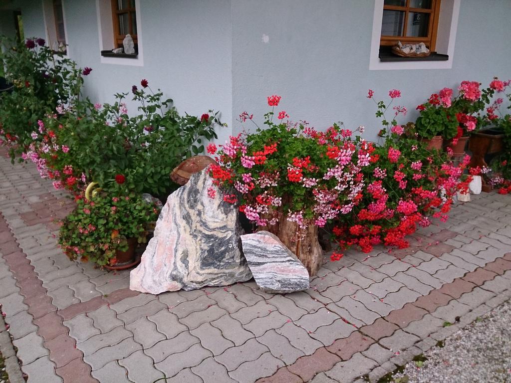 Haus Othmar Schabuss Hostal Bad Kleinkirchheim Exterior foto